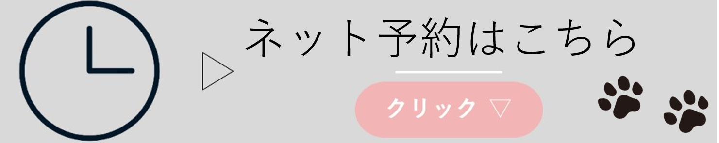 ネット予約はこちら